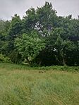 IMG_20240605_084114