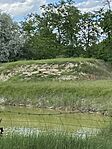 IMG_2595
