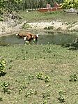 IMG_2593