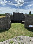 IMG_2589