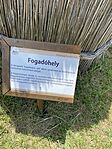 IMG_2588