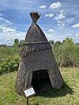 IMG_2584