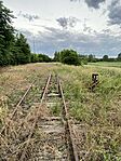 IMG_2615