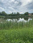 IMG_2605