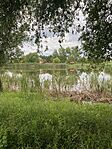 IMG_2604