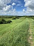 IMG_2720