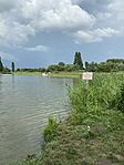 IMG_2972