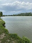 IMG_2971