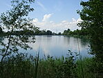 DSC07979