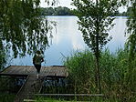 DSC07981