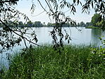 DSC07984