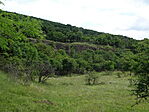 DSC07964