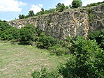DSC07966