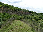 DSC07968