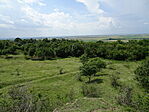 DSC07969