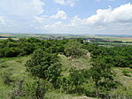 DSC07970