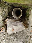IMG_20240602_101420