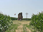 IMG_1278