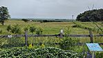 IMG_20240620_102210