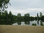 IMG_0335