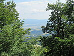 IMG_0621