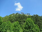 IMG_0640