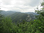 IMG_0832