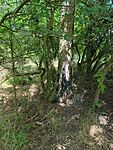IMG_20240608_124602_401.jpg_compressed