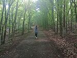 IMG_20240614_101157579_MFNR