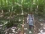 IMG_20240614_101731424_MFNR
