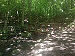 IMG_20240614_101813088_MFNR