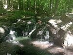 IMG_20240614_101840839_MFNR
