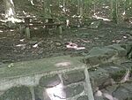 IMG_20240614_101943104_MFNR