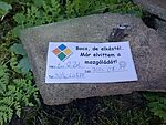 IMG_20240617_164922304_MFNR