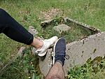 IMG_20240619_112401514_MFNR