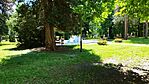 IMG_20240608_111353
