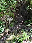 IMG_20240607_115548