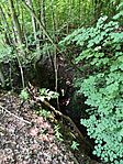 IMG_20240607_115259