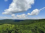 IMG_20240608_113718