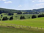 IMG_20240615_143627