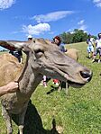 IMG_20240615_141749