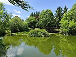 IMG_20240615_132542