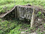 IMG_20240616_142111