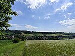 IMG_20240617_095836