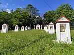 IMG_20240617_094858