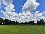 IMG_20240617_135443