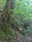 IMG_20240616_100137