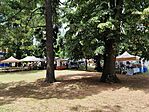 IMG_20240622_135538