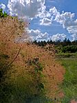 IMG_20240617_153912