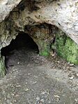 IMG_20240621_104620